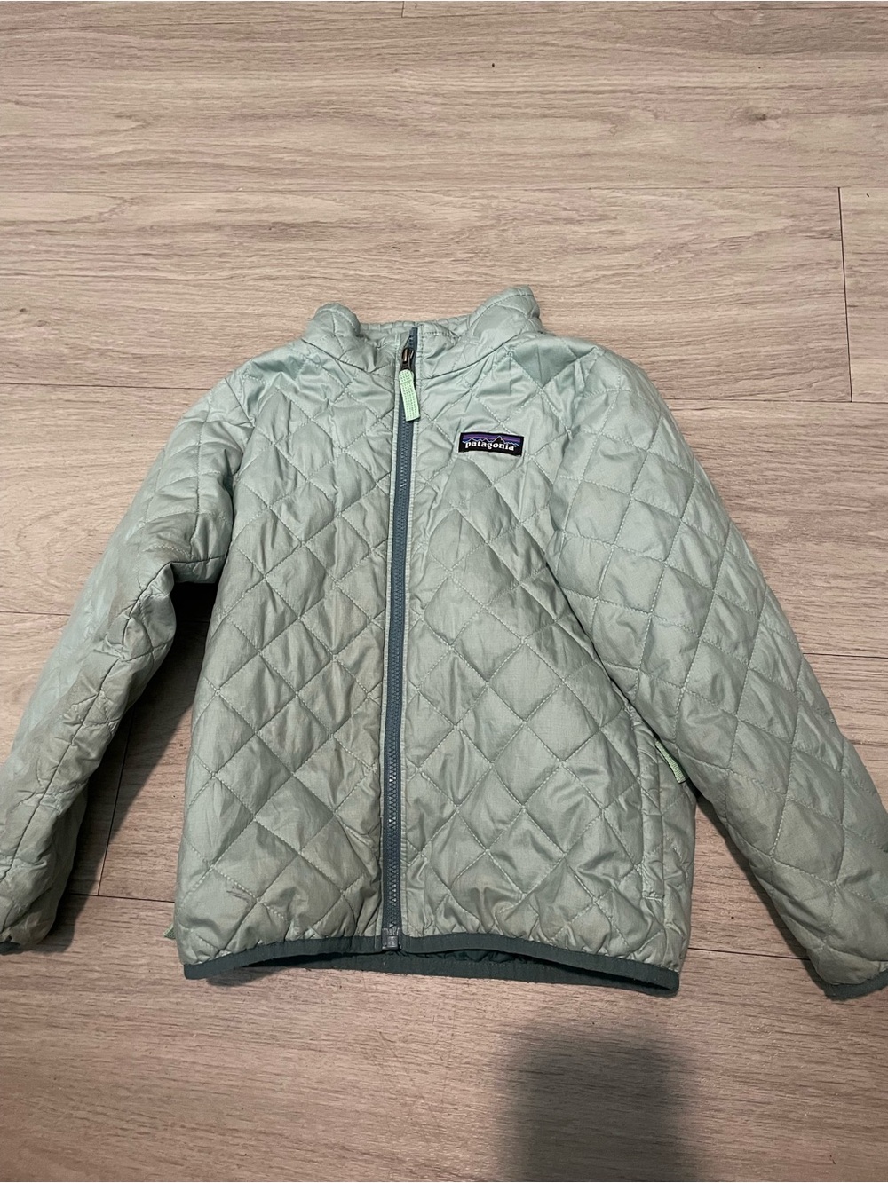 Patagonia Kids Light Mint Quilted Puffer Jacket